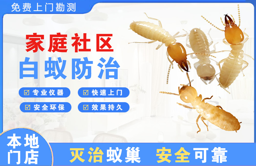 佛山家庭社区白蚁防治
