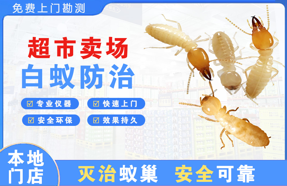 佛山超市卖场白蚁防治