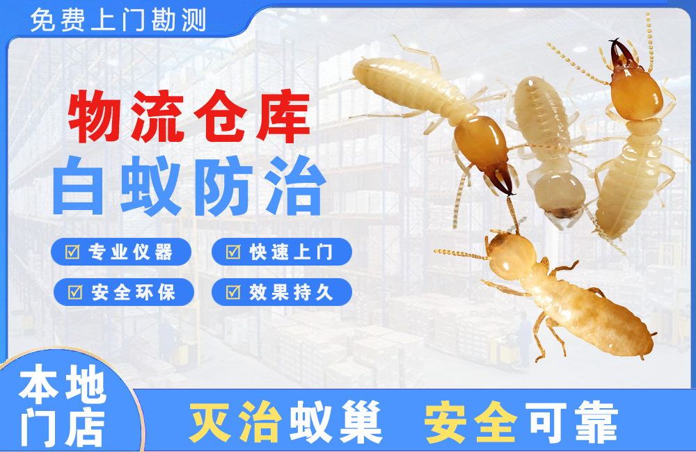 佛山物流仓库白蚁防治