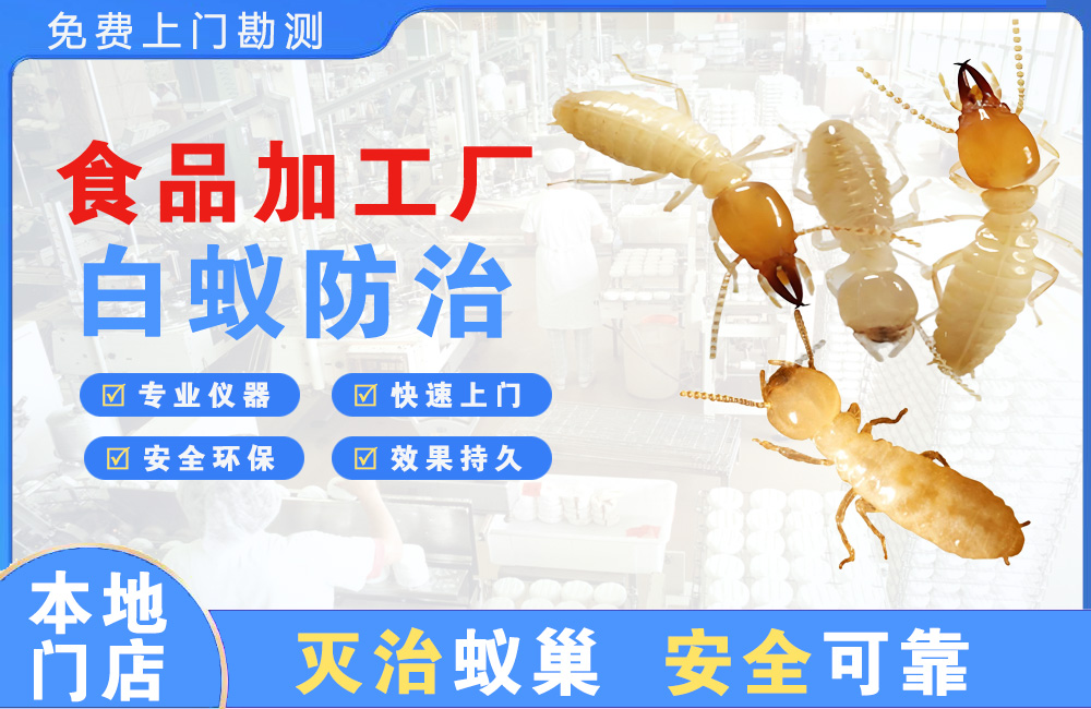 佛山食品加工厂白蚁防治
