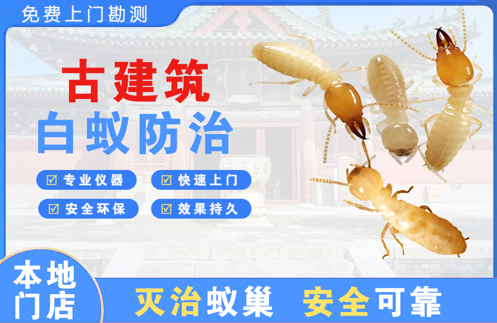 佛山古建筑白蚁防治