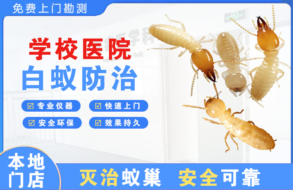 佛山学校医院白蚁防治