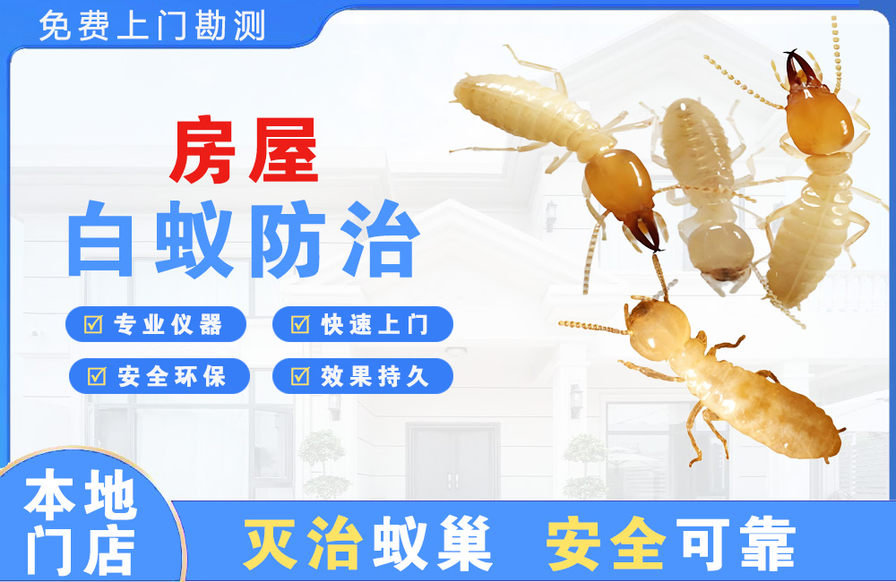 佛山房屋白蚁防治