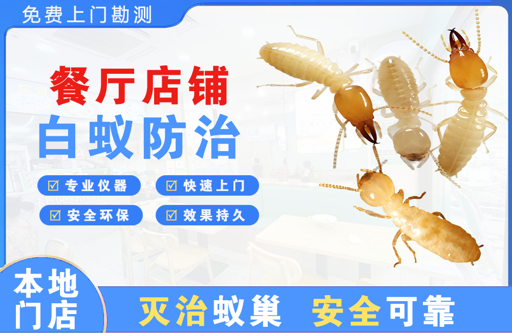 佛山餐厅店铺白蚁防治